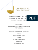 Proyecto Ecología Industrial - Hana Aurora Peña Lemus - 300703