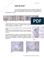 Fisiologia - Del - Parto Dra. Moreno R1