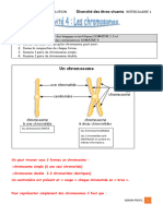 CORRECTION Activité 4 CHROMOSOMES