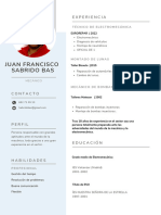 CV Juan Francísco Sabrido Bas