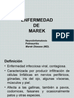 Enfermedad DE Marek: Neurolinfomatosis Polineuritis