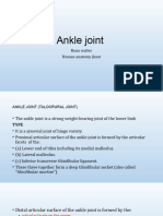 Ankle Joint