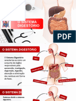 O SISTEMA DIGESTÓRIO Trabalho Anataomia Humana Faculdade Unigrande