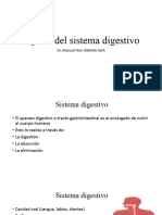Tema 6. Tejidos Del Sistema Digestivo
