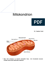 Mitokondrion