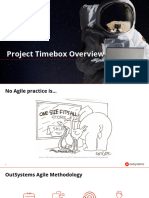 Project Timebox Overview