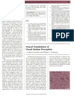 Movshon1992 - Neural Fondation of Visual Motion Perception