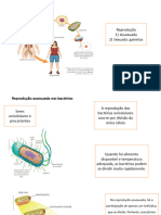 Tipos de Reprodução Reprodução Assexuada