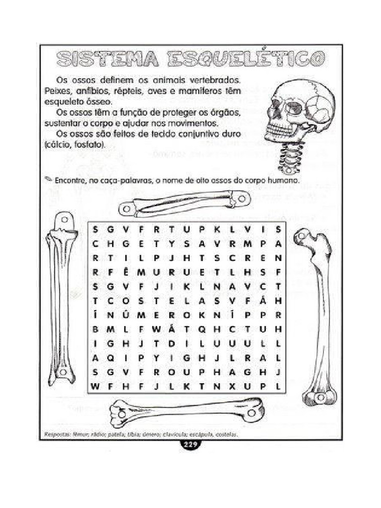 Caça Palavra Ossos | PDF