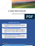 Caso Sinangoe 2