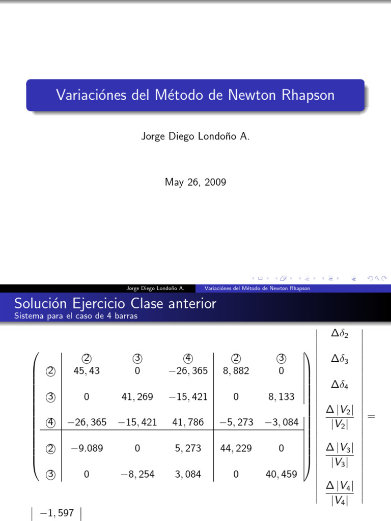 Variantes Newton Raphson | PDF