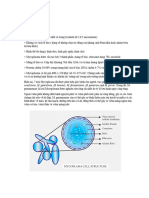 MYCOPLASMA