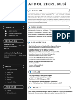 Professional CV Resume