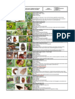 Co-op20-012-Ct Cartilla de Plagas y Enemigos Naturales para Evaluar en Camposol Colombia - Aguacate