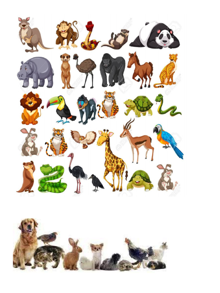 Animales | PDF