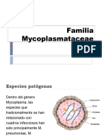 Familia Mycoplasmataceae