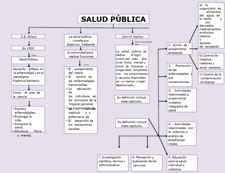 Mapa Conceptual de La Salud Publica 4 | PDF | Salud pública | Saneamiento