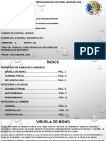 Patogenas de Bacterias