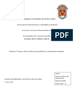 Ensayo Sobre El Análisis de Un Problema de Contaminación Ambiental