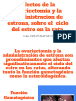 Efectos de La Ovariectomia y La Administracion de Estrona, Sobre El Ciclo Del Estro en La Rata.