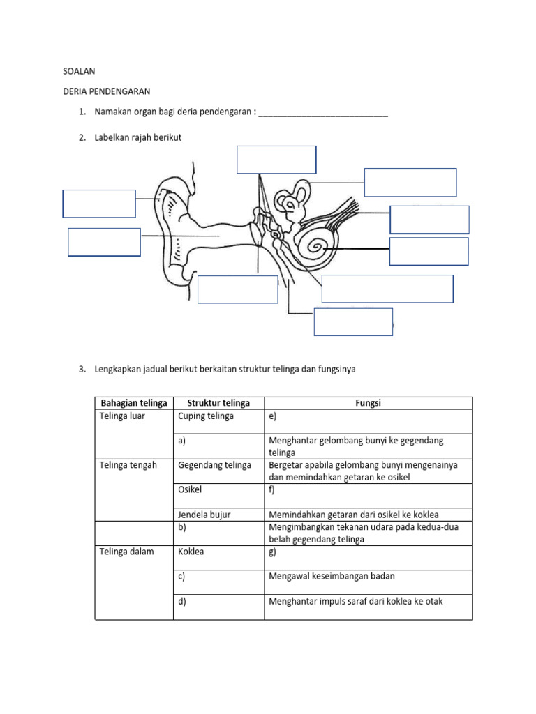 Telinga | PDF