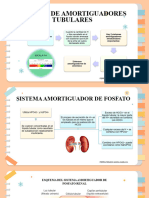 1-Sistema de Amortiguadores