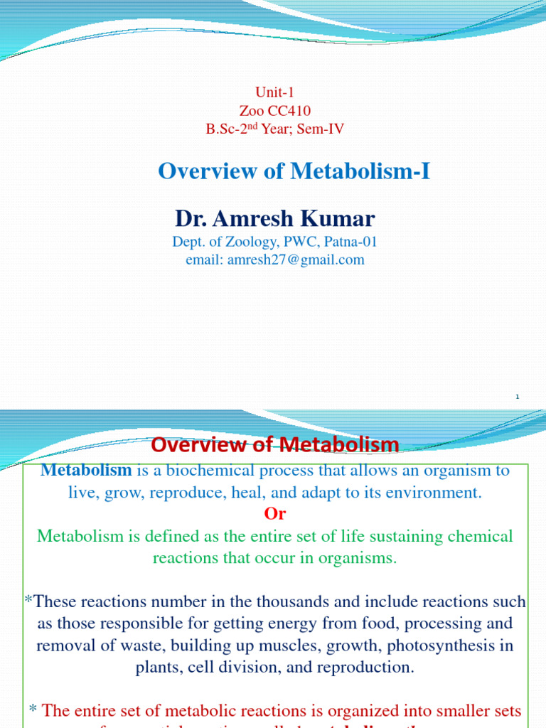 Overview of Metabolism in Organisms | PDF | Metabolism | Metabolic Pathway