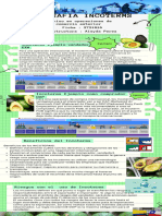 Infografía de Proceso Recortes de Papel Notas Verde