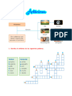 Antónimos 3°