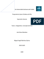 Tarea 1. Diagnóstico. Concepto de Lírica