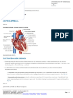 Anatomía Cardiaca, Cap 1
