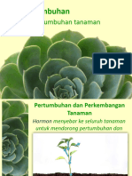 Plant Hormones NXPowerLite