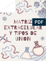Amador Matriz Extracelular y Tipos de Union