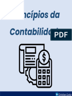 Princípio Da Contabilidade