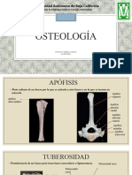 OSTEOLOGIA Veterinaria