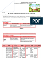 2° Grado - Experiencia de Aprendizaje N°10