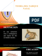 Teoria Del Tabique Nasal