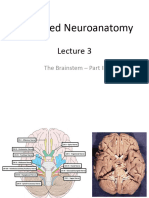 Ainstem II