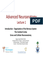 Lecture 1 Neuroanatomy 2016
