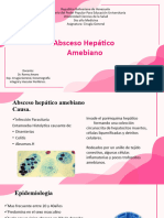 Absceso Hepatico Amebiano (Damaris Perez)