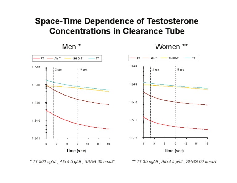 Testosterone Concentration Dynamics | PDF