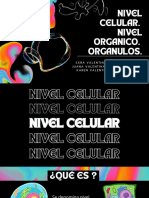 NIVELcelular, Organico y Organelos
