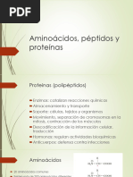 Lipo C-Nitina: Solución Anticelulítica | PDF | Aminoácidos