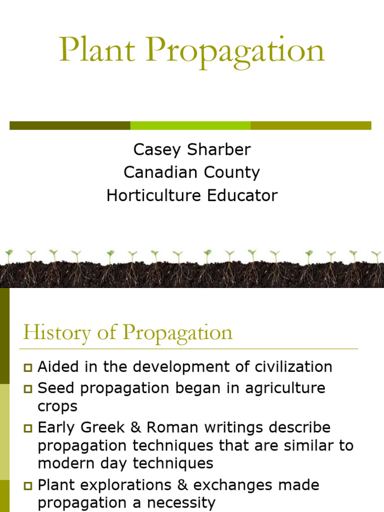 Plant Propagation | PDF | Seed | Grafting