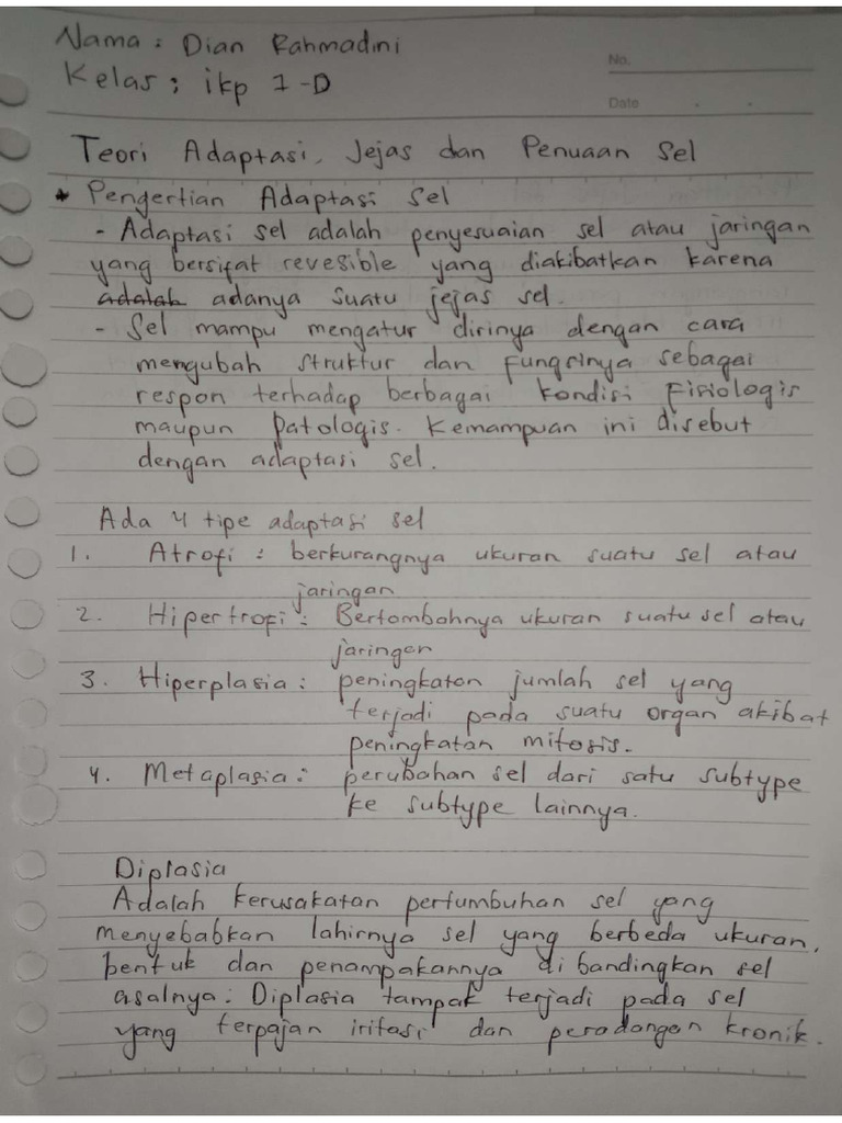 Tugas Teori Adaptasi, Jejas Dan Penuaan Sel Dian Rahmadini IMG ...