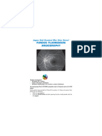 Mini Atlas Series - Fundus Fluorescein Angiography