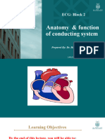 Anatomy & Function of Conducting System