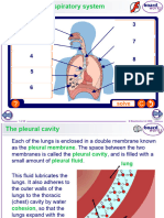 Biology VII Effects of Smoking