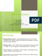 Immuno Fluorescence