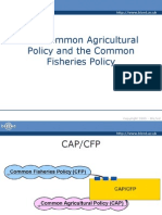 The Common Agricultural Policy and Common Fisheries Policy